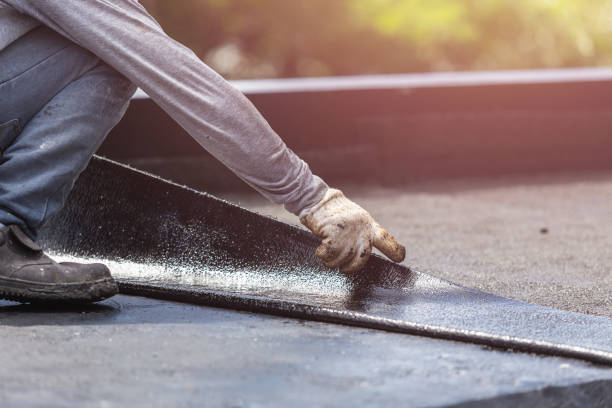 Professional Interior Drainage System technician working in Camden, OH